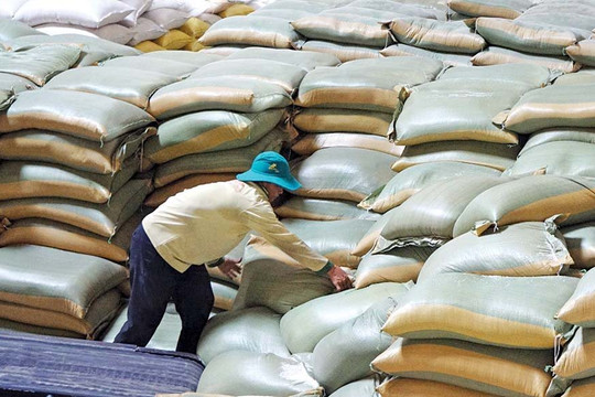 Ổn định thị trường gạo nội địa, tận dụng “cơ hội vàng” xuất khẩu