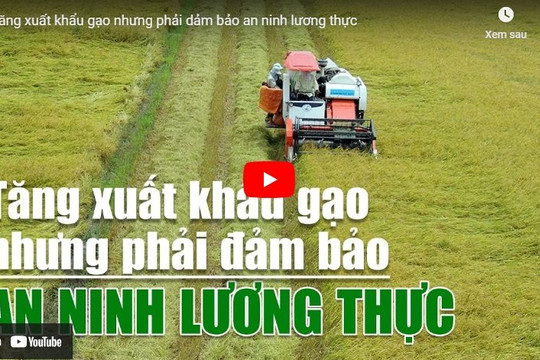 [VIDEO] Tăng xuất khẩu gạo nhưng phải đảm bảo an ninh lương thực