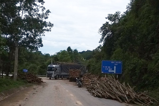 Hà Tĩnh: Xã miền núi xảy ra tình trạng gỗ keo sau khai thác thành bãi tập kết lấn chiếm lòng, lề đường