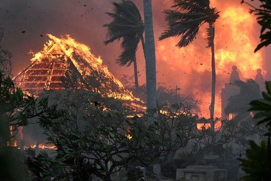 Cháy rừng thảm khốc ở Hawaii, ít nhất 53 người thiệt mạng