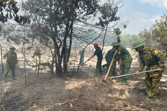 Cháy khoảng 7,5 ha rừng phòng hộ tại Thừa Thiên - Huế