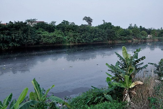 Bắc Ninh: Tăng cường xử lý ô nhiễm môi trường hệ thống thủy lợi Bắc Hưng Hải