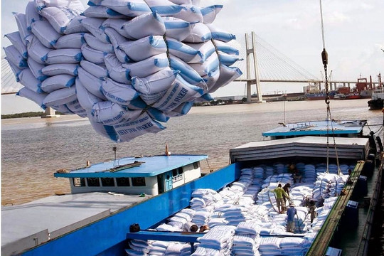 Năm 2023, Việt Nam có thể xuất khẩu 8 triệu tấn gạo, con số kỷ lục từ trước đến nay