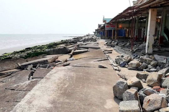 Dự kiến đầu tư 500 tỷ đồng xử lý sạt lở đê biển ở Nam Định