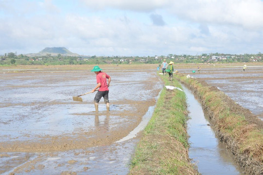 Đắk Nông: Thiếu nước sản xuất giữa mùa mưa
