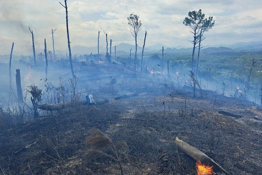 Liên tiếp xảy ra nhiều vụ cháy rừng tại Thừa Thiên - Huế