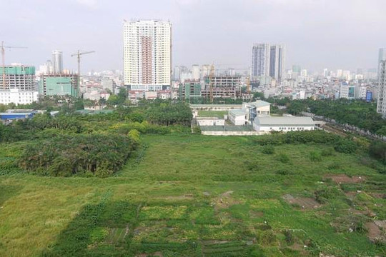 Có nội dung "trái luật" trong quy định đấu giá đất nông nghiệp của TP Hà Nội 
