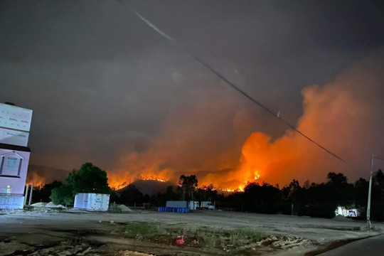 Huy động lực lượng suốt đêm khống chế vụ cháy rừng ở Phú Yên