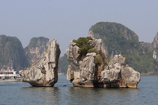 Quảng Ninh: Khẩn trương tìm giải pháp bảo tồn hòn Trống Mái