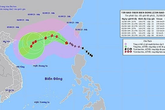 Các tỉnh, thành ven biển từ Quảng Ninh đến Quảng Ngãi chủ động ứng phó với bão số 3 