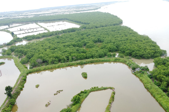 UNESCO đề nghị cung cấp thông tin về việc thu hẹp Khu bảo tồn Tiền Hải
