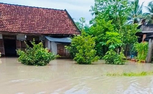 Bình Thuận thiệt hại hàng trăm triệu đồng do mưa lớn