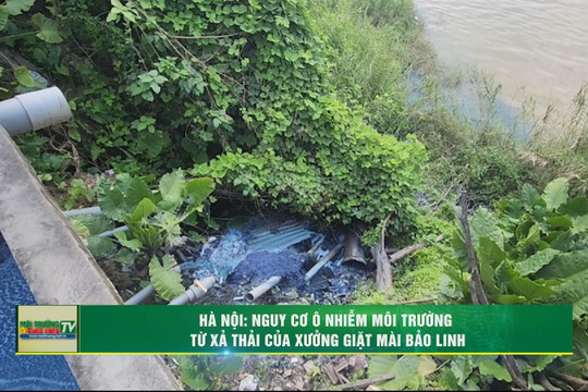 [VIDEO] Long Biên (Hà Nội): Nguy cơ ô nhiễm môi trường từ xả thải của xưởng giặt mài Bảo Linh
