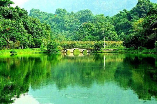 Vườn Quốc gia Cúc Phương tiếp tục được vinh danh là Vườn Quốc gia hàng đầu châu Á