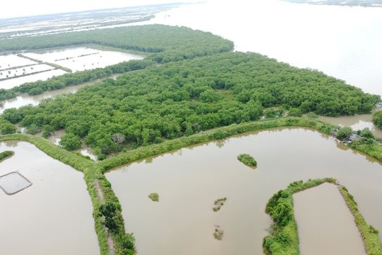 Rà soát, xác định chi tiết quy mô diện tích Khu bảo tồn thiên nhiên Tiền Hải trên thực địa