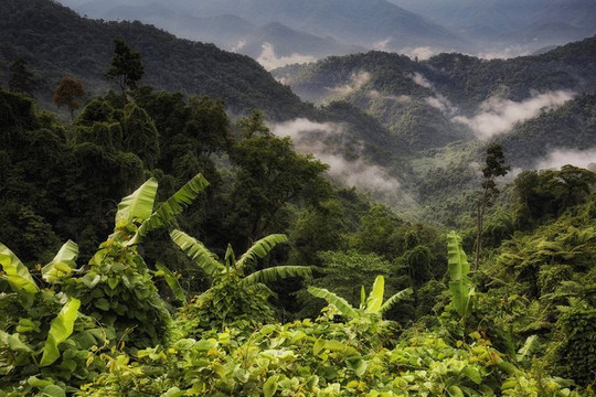 Nguồn lực cho bảo vệ cảnh quan rừng Trung Trường Sơn