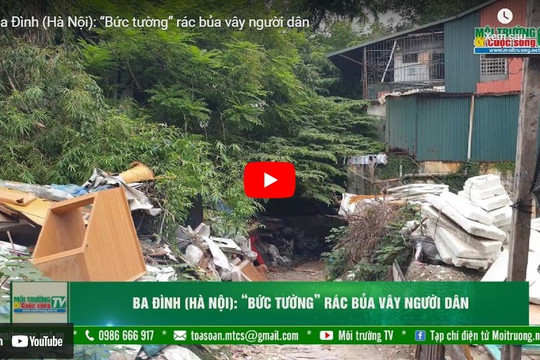 [VIDEO] Ba Đình (Hà Nội): “Bức tường” rác bủa vây người dân