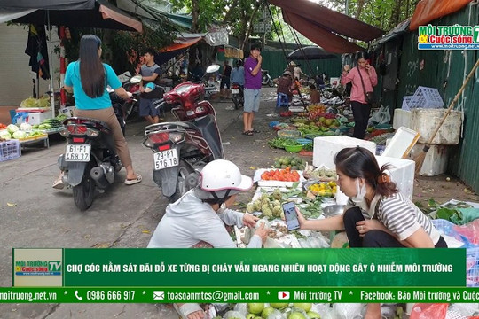 [VIDEO] Hà Nội: Chợ cóc nằm sát bãi đỗ xe từng bị cháy vẫn ngang nhiên hoạt động gây ô nhiễm môi trường