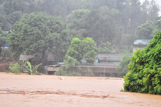 Thành phố Hồ Chí Minh hỗ trợ tỉnh Lào Cai 500 triệu đồng khắc phục hậu quả mưa lũ