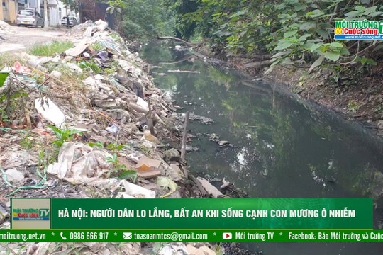 [VIDEO] Hà Nội: Người dân lo lắng, bất an khi sống cạnh con mương ô nhiễm