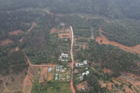 Hà Nội chuyển đổi 4,74 ha rừng làm vành đai an toàn phòng cháy tại Sóc Sơn