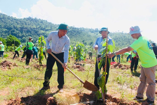 Gia Lai trồng 2.000 cây xanh tại huyện Ia Pa