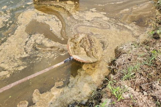 Quảng Trị chỉ đạo “nóng” sẽ xử lý nghiêm hành vi xả nước trái pháp luật vào sông Sa Lung