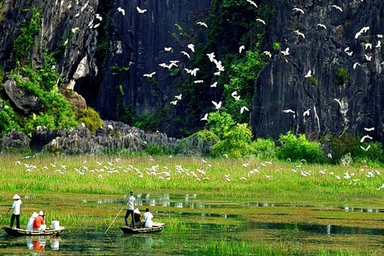 Việt Nam thúc đẩy hành động vì đa dạng sinh học và hệ sinh thái