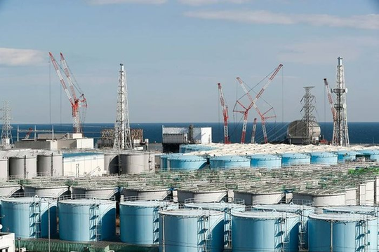 Nhật Bản: Không phát hiện tritium trong cá sau 1 tháng xả nước thải hạt nhân