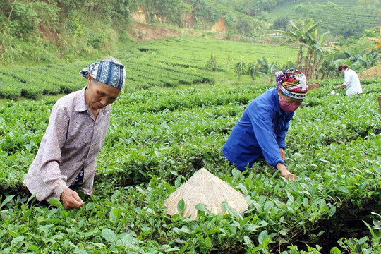 100% làng nghề tại Thái Nguyên có thủ tục môi trường