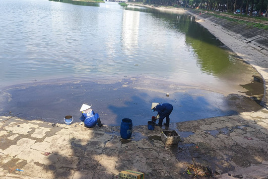 Hà Nội tiến hành xử lý dầu bị đổ trộm tại hồ Linh Đàm