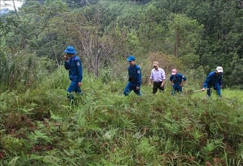 Nhiều bất cập trong quản lý, bảo vệ rừng ở Quảng Ngãi