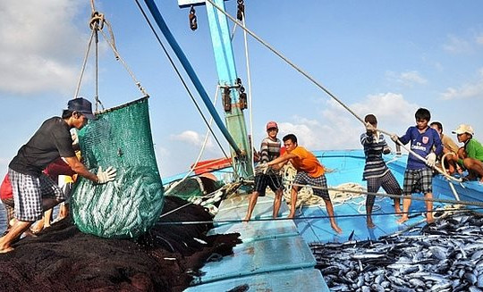 Thủ tướng Chính phủ vừa có Công điện về các nhiệm vụ, giải pháp chống khai thác hải sản bất hợp pháp