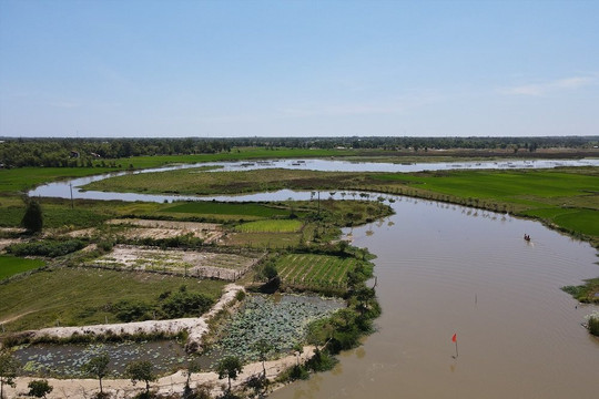 Quảng Nam: Kỳ vọng về tiềm năng Khu bảo tồn đất ngập nước và đa dạng sinh học tại sông Đầm