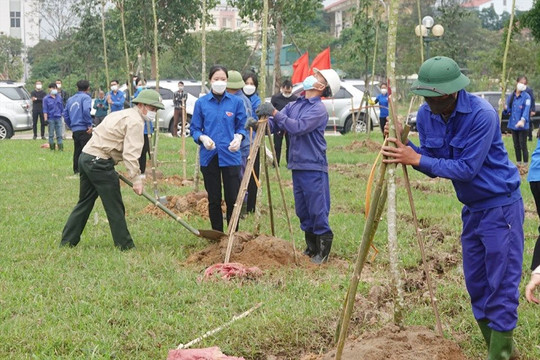 Đồng bộ nhiều giải pháp thực hiện đề án trồng một tỷ cây xanh ở Hà Tĩnh