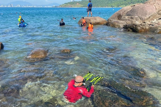Những người lặn biển nhặt rác cứu san hô ở Đà Nẵng