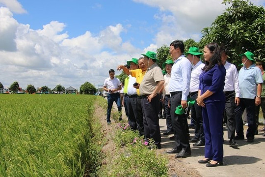 Định hướng xây dựng Đồng Tháp thành tỉnh kiểu mẫu về nông nghiệp sinh thái