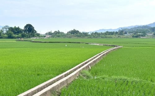 Thái Nguyên: Huyện Phú Bình hoàn thiện hệ thống thủy lợi phục vụ sản xuất