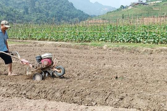 Nông dân Lào Cai chuẩn bị các điều kiện cho sản xuất cây trồng vụ đông