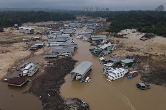 Mực nước sông Amazon tụt xuống mức thấp nhất trong hơn một thế kỷ qua