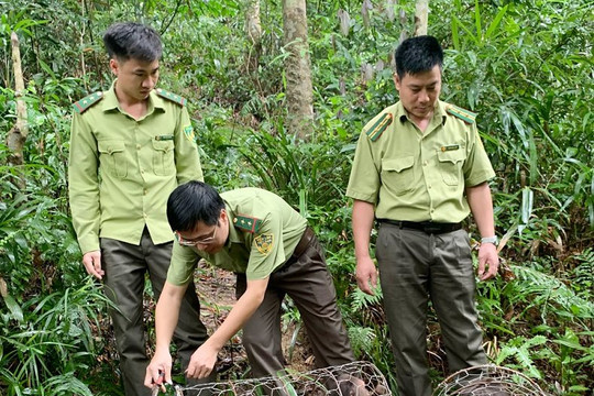 Bắc Giang xử lý nghiêm hành vi xâm hại động vật hoang dã