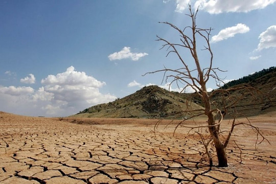 Khủng hoảng khí hậu khiến thế giới mất 391 triệu USD mỗi ngày