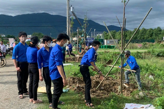 Bình Thuận: Huyện Tánh Linh đã trồng được 31.600 cây xanh