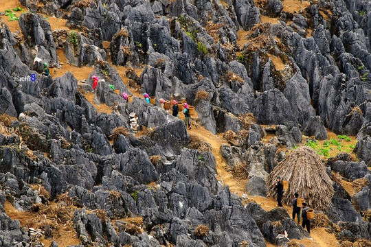 Cao nguyên Đá Đồng Văn nhận danh hiệu Công viên Địa chất Toàn cầu lần thứ 3