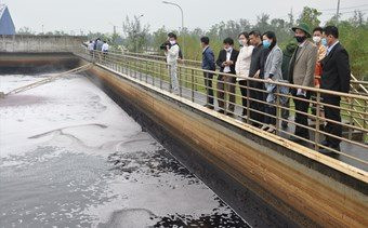 Quảng Nam: Chỉ có 11,72% tổng lượng nước thải sinh hoạt tại các đô thị được xử lý