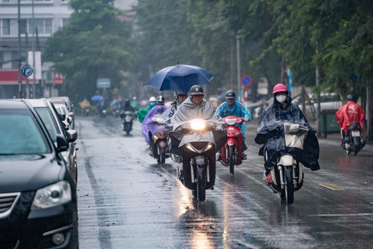 Dự báo thời tiết Hà Nội ngày 7/11/2023: Nhiều khu vực có mưa vừa, mưa to vào chiều
