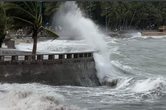 Chủ động ứng phó gió mạnh ảnh hưởng vùng biển các tỉnh Quảng Ninh đến Kiên Giang