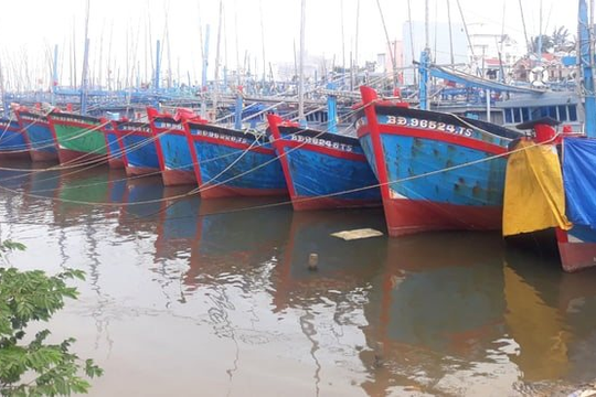 Bình Định đảm bảo an toàn cho tàu cá trong mùa mưa bão