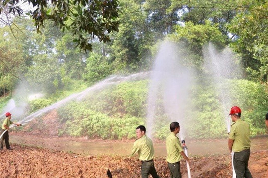 Thái Nguyên chủ động phòng, chống cháy rừng mùa khô