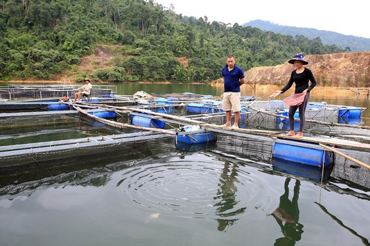 Quảng Nam tạo sinh kế bền vững cho người dân lưu vực hồ chứa thủy điện